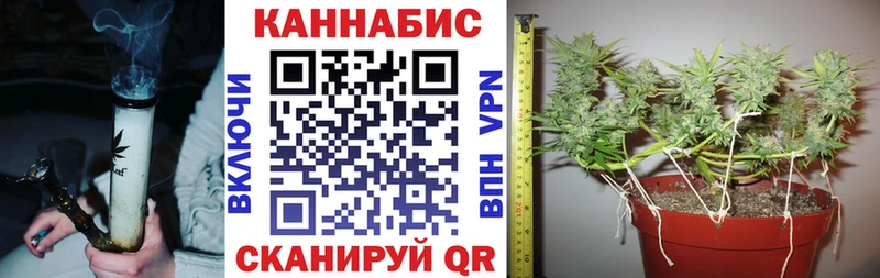 Бошки Шишки THC 21%  купить закладку  Светлоград 